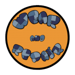 logo-no-background